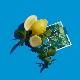 Cédrat Enivrant - Cologne Absolue